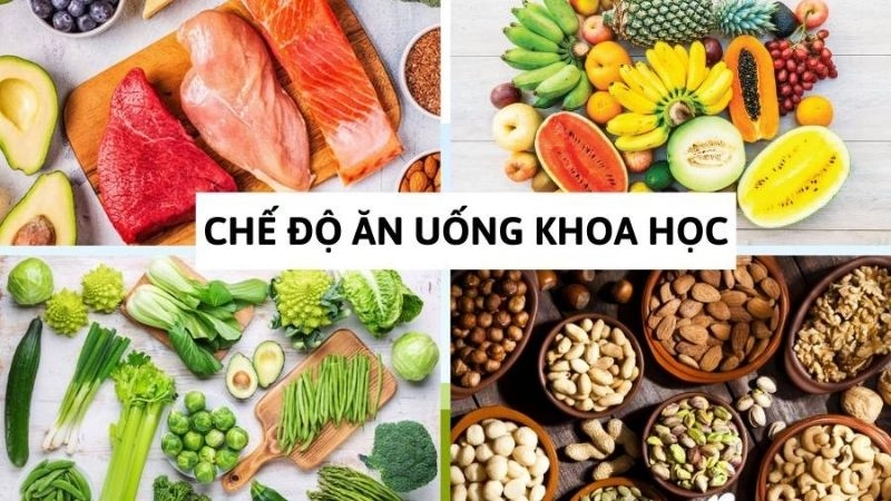 Ăn uống khoa học giảm nguy cơ mắc bệnh 