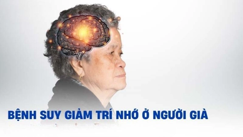 Có nhiều nguyên nhân dẫn đến giảm trí nhớ ở người cao tuổi
