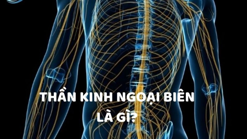 Dấu hiệu nhận biết chứng rối loạn thần kinh ngoại biên?