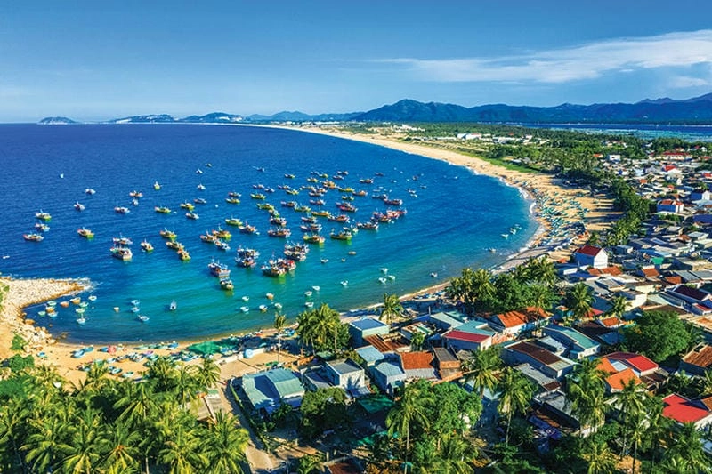 Thơ mộng quá trời ảnh hoa đào Hà Nội