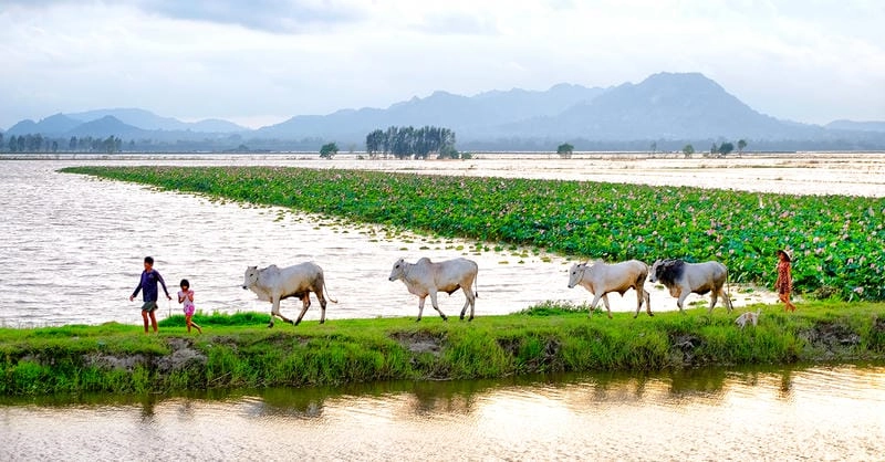 Con người An Giang trong lao động đời thường