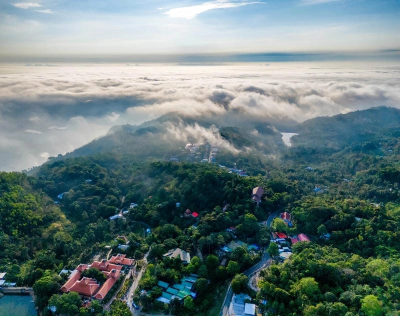 Thiên nhiên An Giang với rừng tràm xanh mát