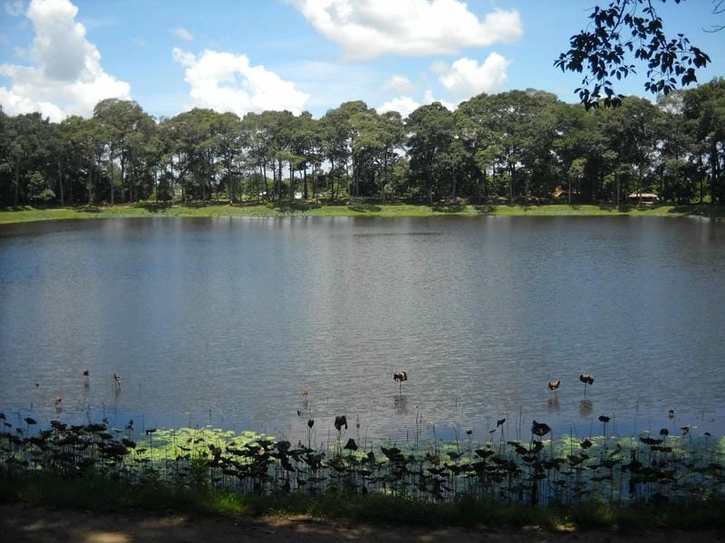 Ao Bà Om Trà Vinh lung linh trong ánh hoàng hôn