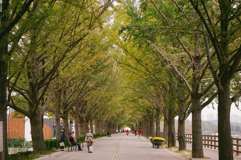 Kinh nghiệm tham quan Asan