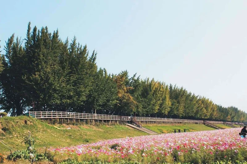 Asan điểm đến lý tưởng cho mọi mùa