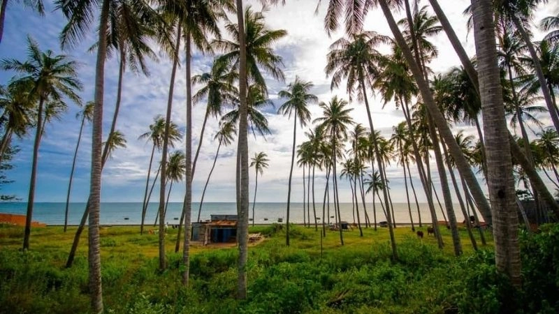 Cách di chuyển đến bãi Rạng