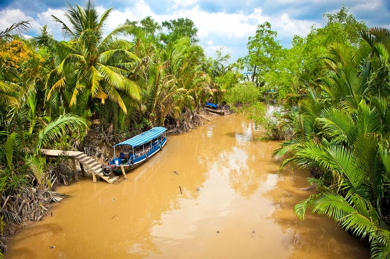 Vẻ đẹp sông nước từ Du thuyền Bến Tre