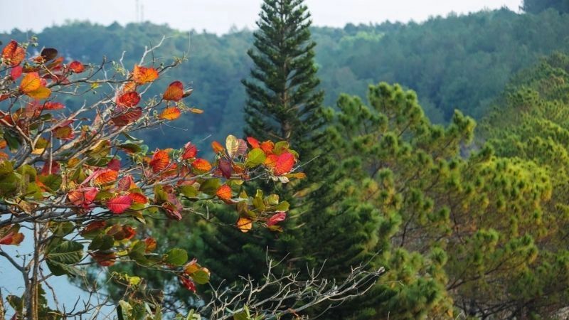 Cảnh đẹp Biển Hồ mê hoặc mọi ánh nhìn