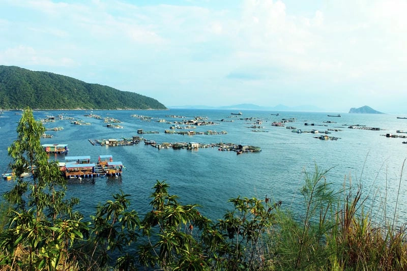 Khám phá Biển Phú Yên với bãi cát trắng mịn