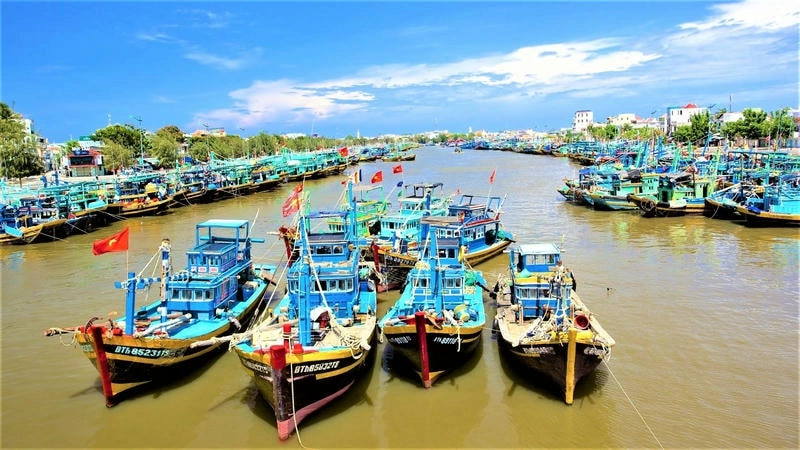 Cảng Phan Thiết – tâm điểm của làng chài