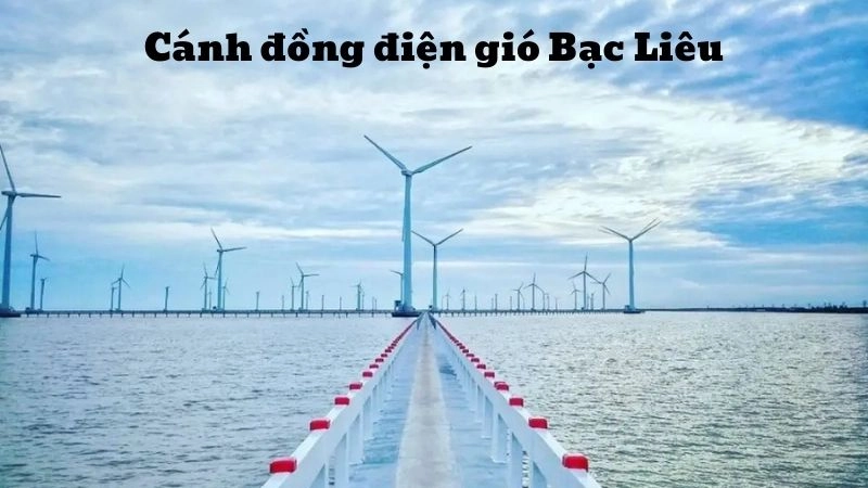 Đôi nét về cánh đồng điện gió Bạc Liêu 