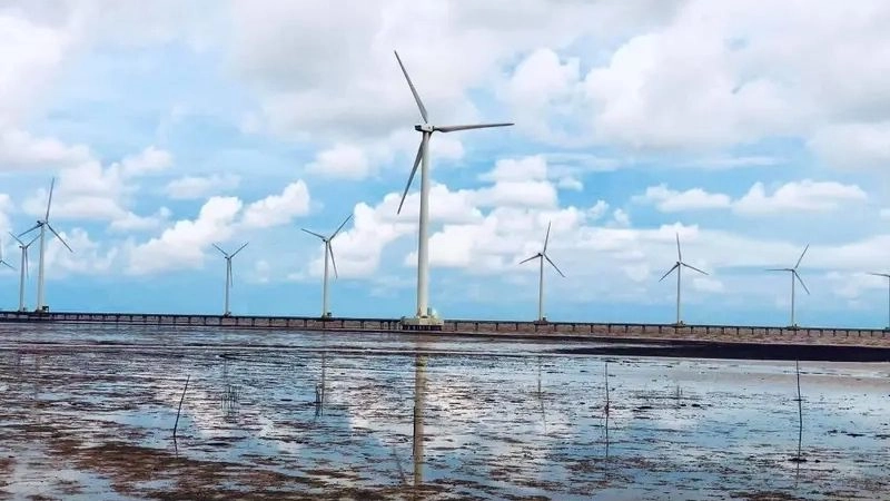 Cảnh quan cánh đồng điện gió rộng lớn ngút ngàn