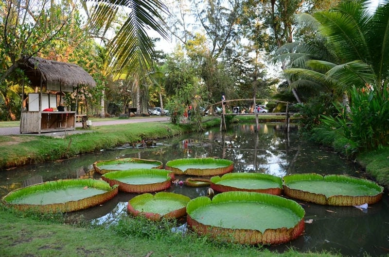 Tour khám phá hồ Suối Lam Bình Phước