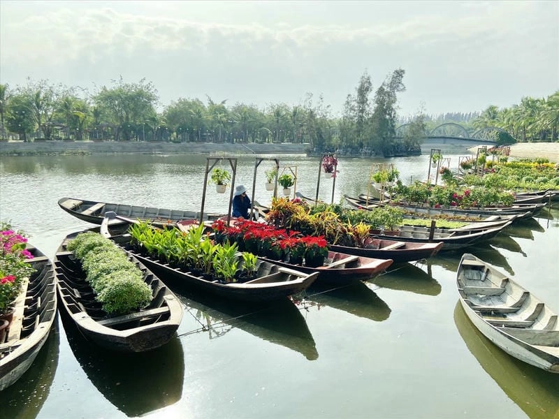 Cảnh quan Long An rực rỡ vào mùa hoa nở