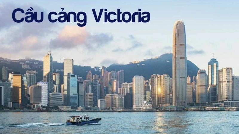 Khám phá Cầu cảng Victoria Hong Kong và các trải nghiệm thú vị