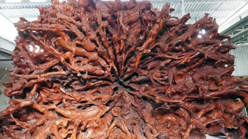 Khám phá Chùa Hang Trà Vinh hành trình đầy ý nghĩa