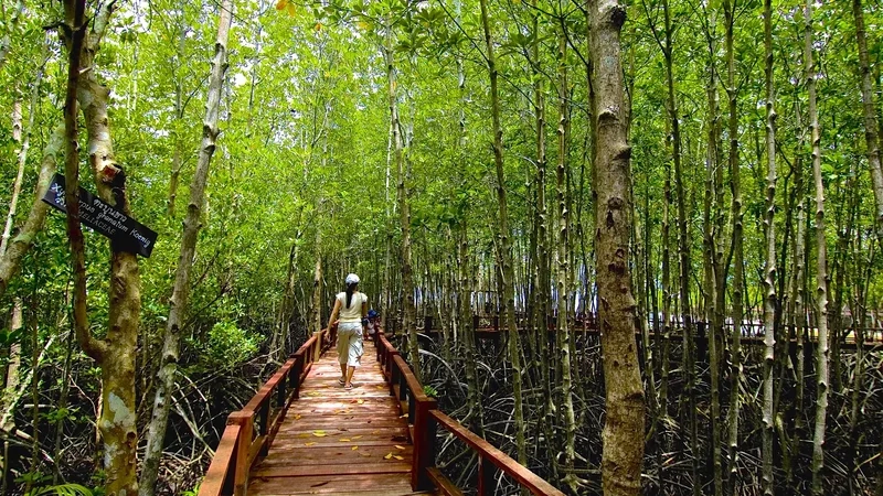 Chumphon nơi lưu giữ nét văn hóa địa phương