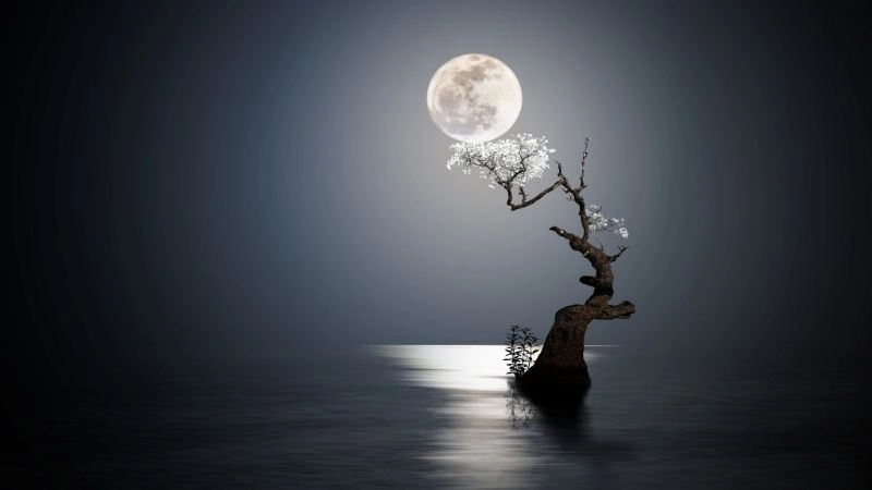 Thám hiểm vũ trụ mở rộng chân trời