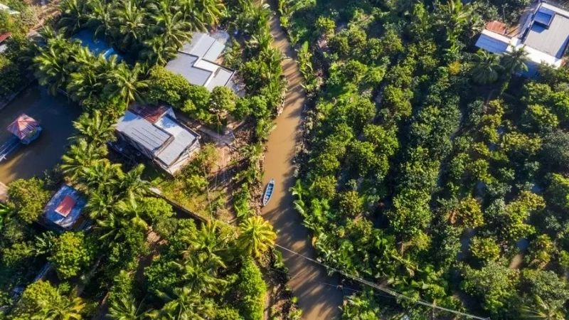 Thời điểm lý tưởng để đến thăm Cồn Phụng