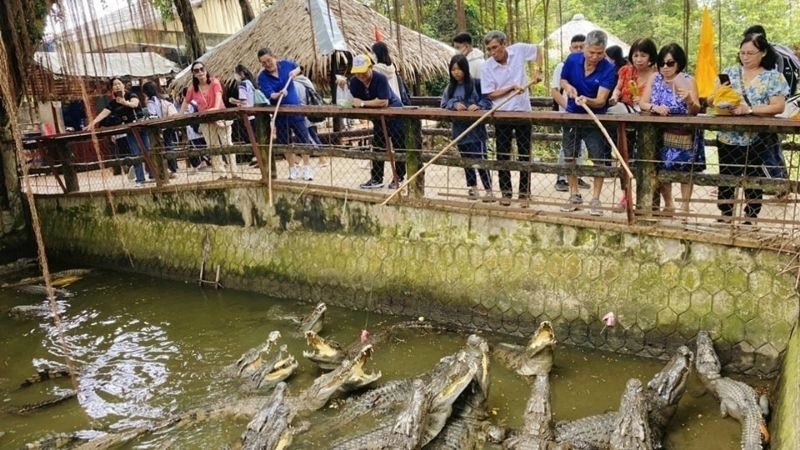 Khu du lịch Cồn Phụng hấp dẫn khách bốn phương