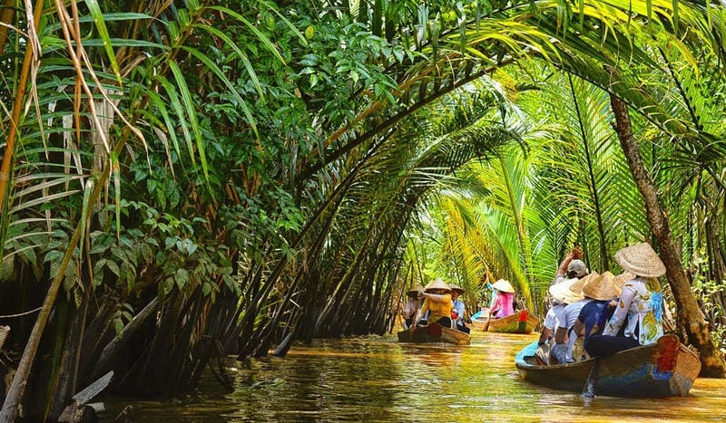 Cồn Thới Sơn Tiền Giang xanh mát giữa sông