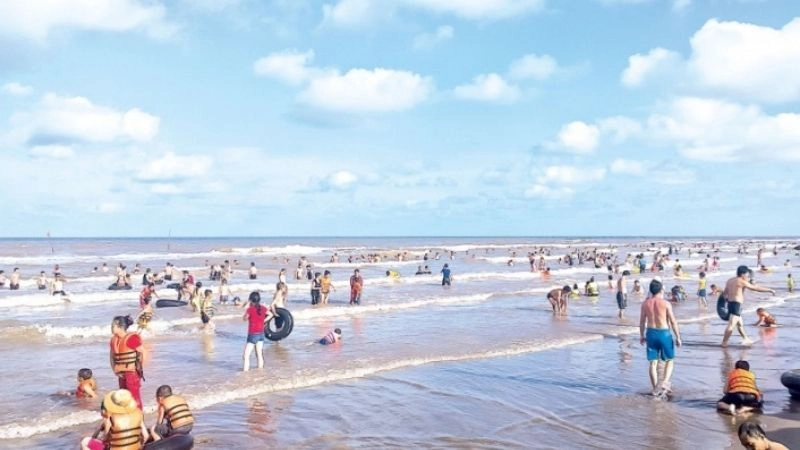 Từ tháng 4 đến tháng 8 là khoảng thời gian lý tưởng nhất để ghé thăm Cồn Vành