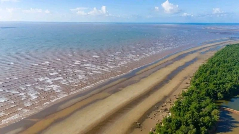 Cách di chuyển đến Cồn Vành thuận tiện nhanh gọn