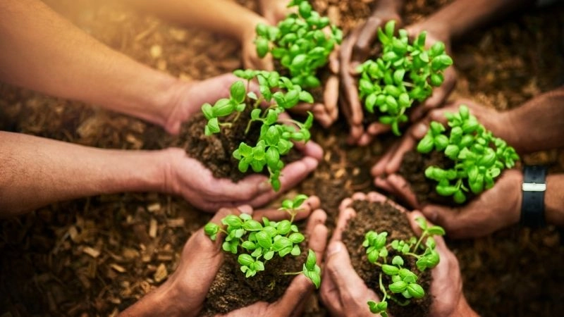 Hệ sinh thái và tương lai bền vững