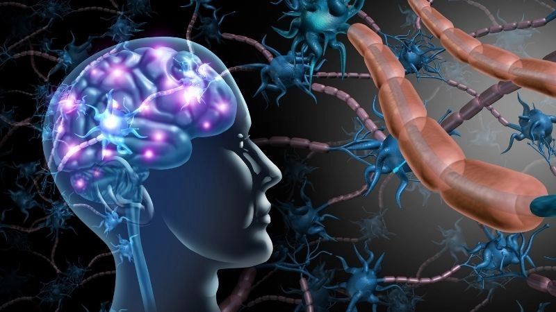 Neuralink và cách mạng thần kinh