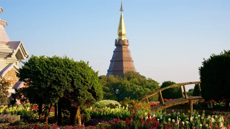 Kinh nghiệm tham quan Công viên quốc gia Doi Inthanon