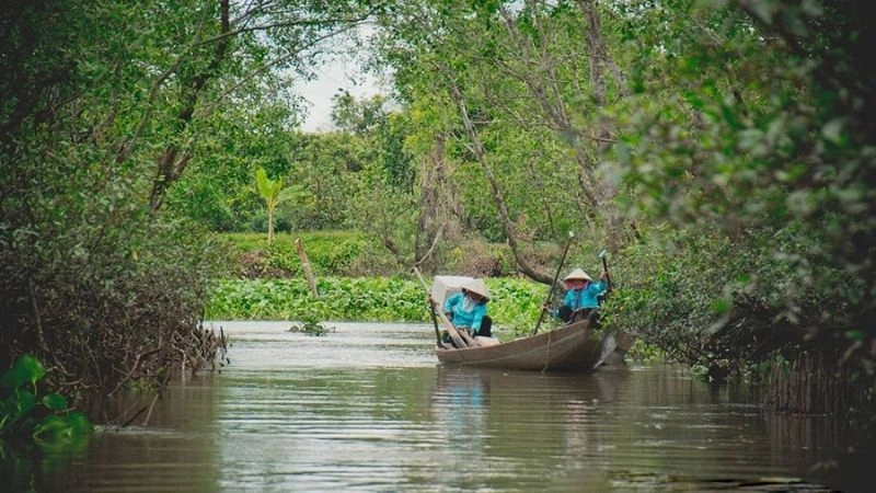 Thiên nhiên Cù lao An Bình xanh mướt quanh năm