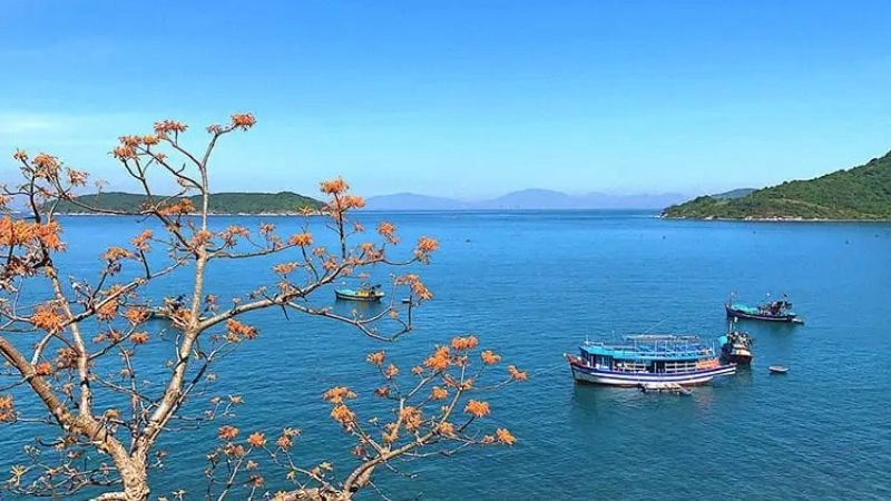 Ảnh Cù Lao Chàm đẹp ghi lại từng khoảnh khắc biển