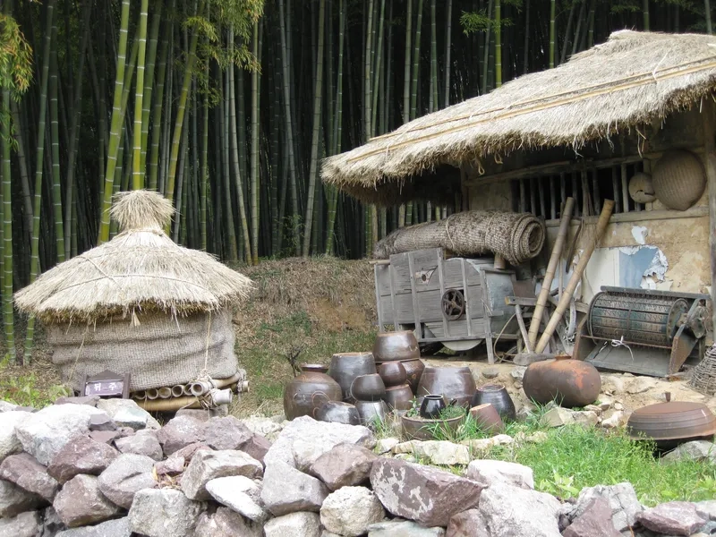 Thưởng ngoạn không khí trong lành ở Damyang