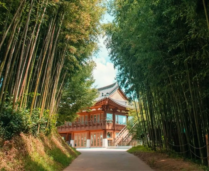 Hòa mình vào thiên nhiên xanh mát của Damyang