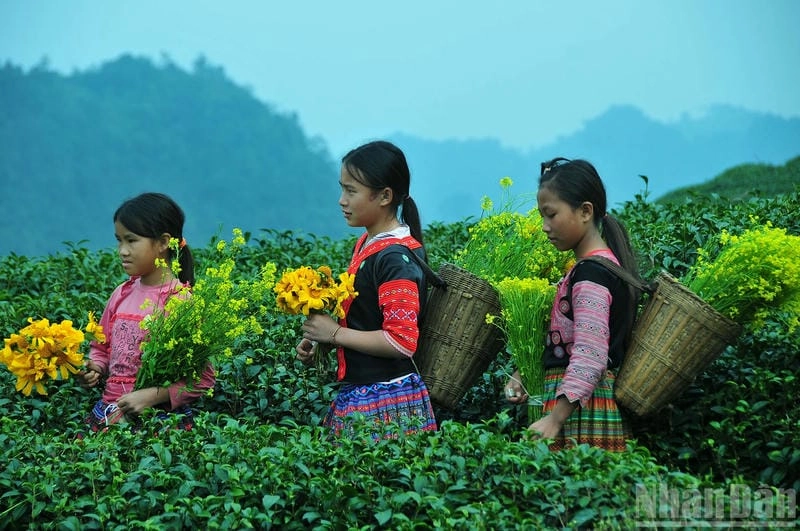 Khám phá nét đẹp Dân tộc Mộc Châu qua trang phục truyền thống