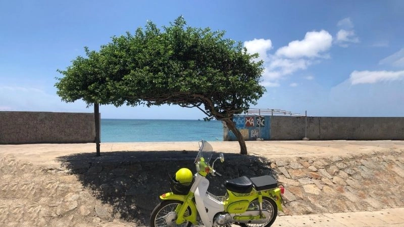 Du lịch Phú Quý trải nghiệm kỳ thú và khó quên