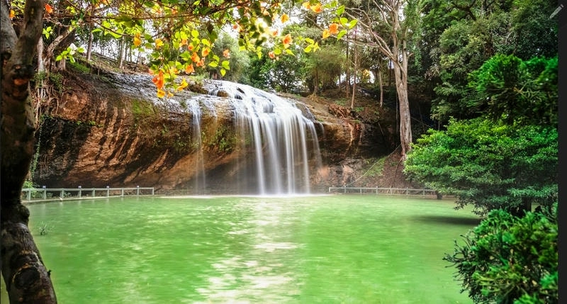 Cảnh Đèo Prenn Đà Lạt trong sương mù huyền ảo