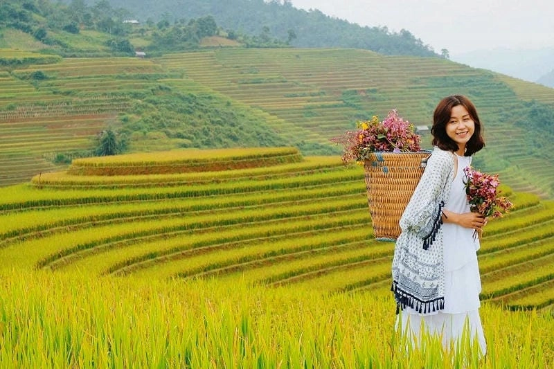 Mẹo hay về kinh nghiệm di chuyển khi đi săn lúa