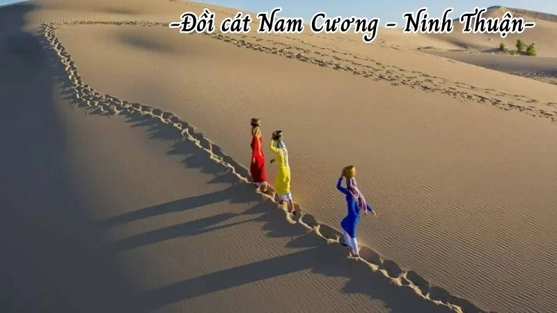 Đôi nét thú vị về đồi cát Nam Cương