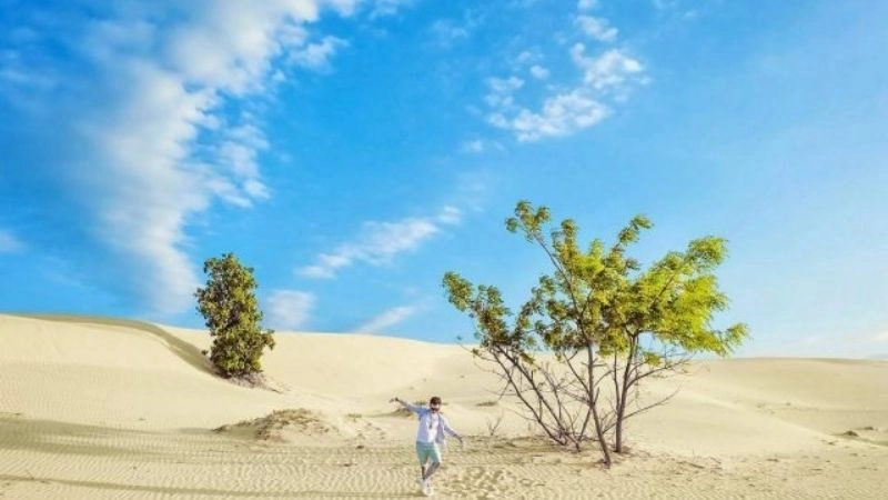 Gió trên đồi cát hát khúc nhạc du mục tự do