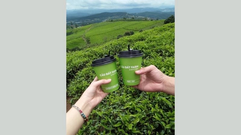 Quán cà phê Đồi chè Cầu Đất view tuyệt đẹp