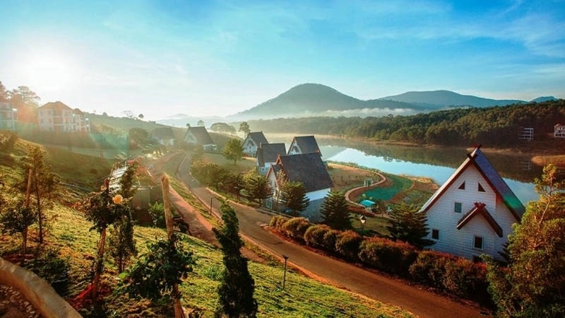 Đồi chè Cầu Đất với khung cảnh xanh mướt, yên bình