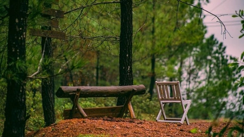 Thiên nhiên Đồi Vọng Cảnh trong lành mát mẻ