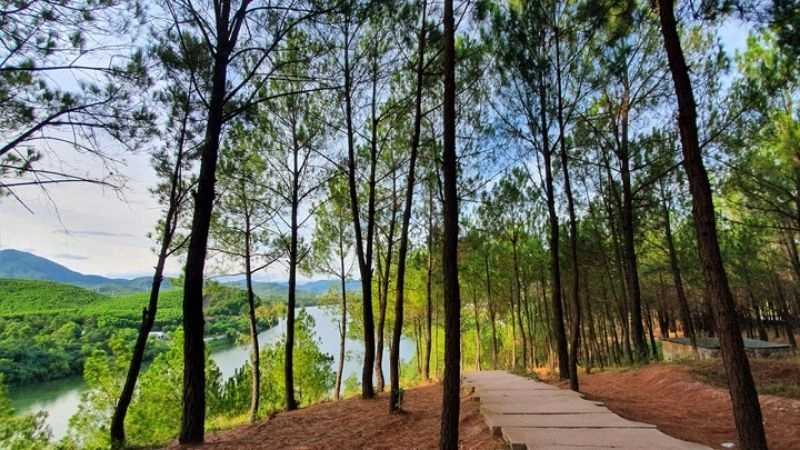 Khám phá Đồi Vọng Cảnh trong chuyến du ngoạn