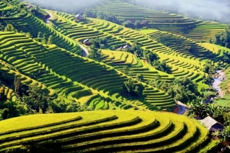 Mùa thu Bắc Kạn sắc vàng thơ mộng