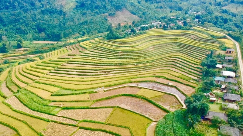 Ruộng lúa Bắc Kạn bậc thang ấn tượng