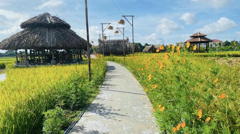 Hoàng hôn làng quê trong bộ ảnh Long An đẹp