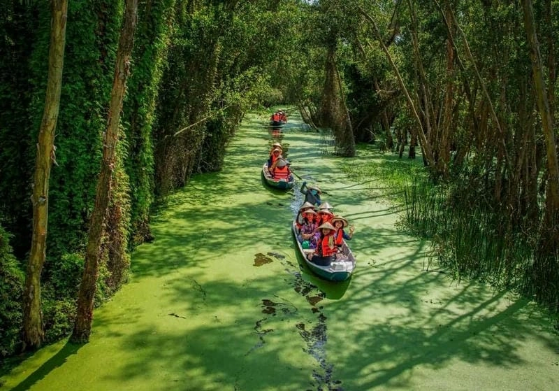 Thư giãn Long An khi chèo xuồng ngắm cảnh