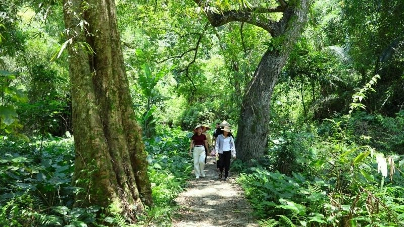 Âm vang nước đổ tại Thác Đầu Đẳng hùng vĩ