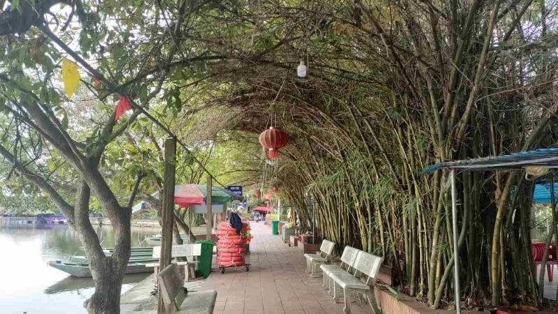 Tĩnh lặng bình yên Đảo Cò Chi Lăng Nam rì rào gió